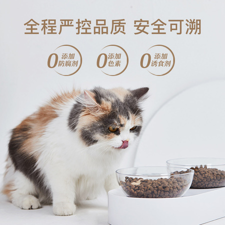 3.0豆腐猫砂2.6千克